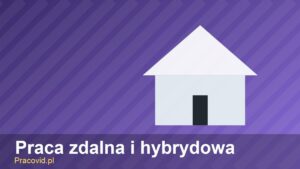 praca-zdalna-i-hybrydowa